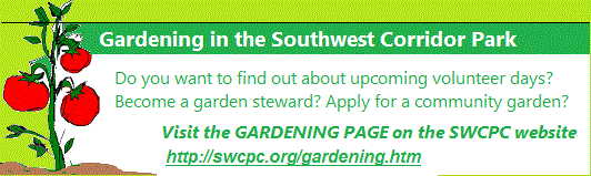 Learn about gardening opportunities in the Southwest Corridor Park